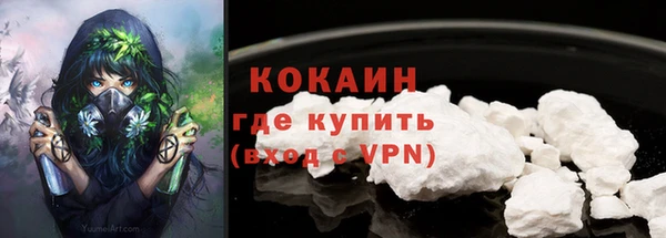 кокс Белокуриха