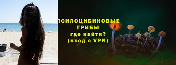 кокс Белокуриха