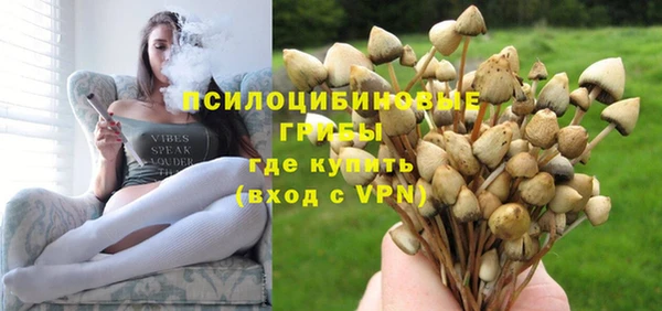 кокс Белокуриха