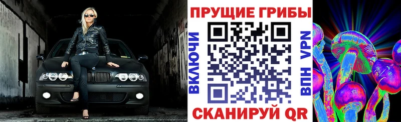 Галлюциногенные грибы прущие грибы  Обь 